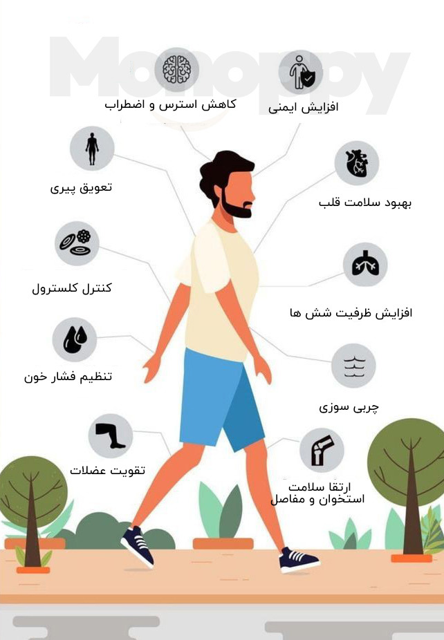 فواید-اصول-پیاده-روی-مونوپی-Monoppy